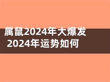 属鼠2024年大爆发 2024年运势如何