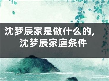 沈梦辰家是做什么的,沈梦辰家庭条件