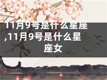 11月9号是什么星座,11月9号是什么星座女