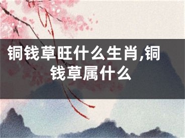 铜钱草旺什么生肖,铜钱草属什么