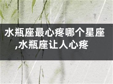 水瓶座最心疼哪个星座,水瓶座让人心疼