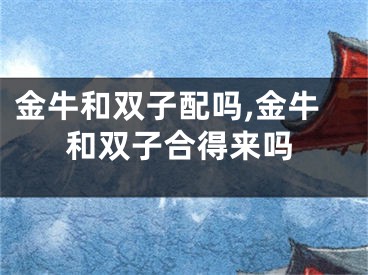 金牛和双子配吗,金牛和双子合得来吗