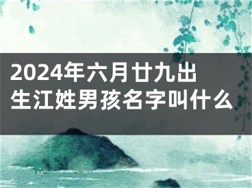 2024年六月廿九出生江姓男孩名字叫什么