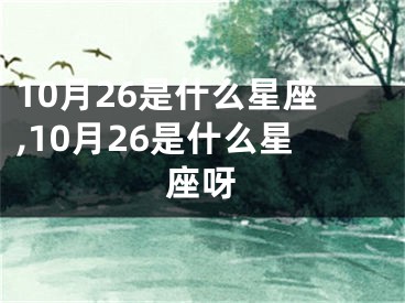 10月26是什么星座,10月26是什么星座呀
