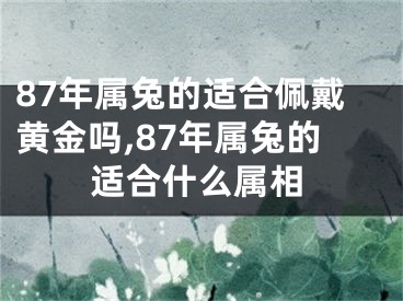 87年属兔的适合佩戴黄金吗,87年属兔的适合什么属相
