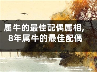 属牛的最佳配偶属相,8年属牛的最佳配偶