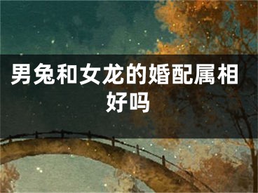 男兔和女龙的婚配属相好吗