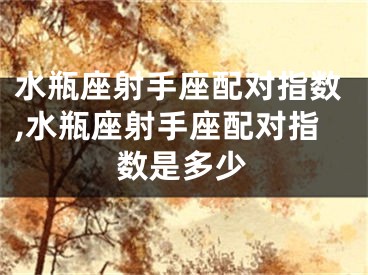 水瓶座射手座配对指数,水瓶座射手座配对指数是多少