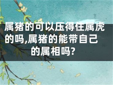 属猪的可以压得住属虎的吗,属猪的能带自己的属相吗?