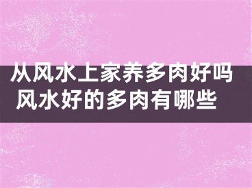 从风水上家养多肉好吗 风水好的多肉有哪些