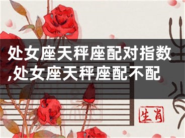 处女座天秤座配对指数,处女座天秤座配不配