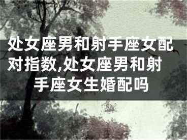 处女座男和射手座女配对指数,处女座男和射手座女生婚配吗