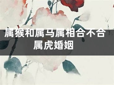 属猴和属马属相合不合 属虎婚姻