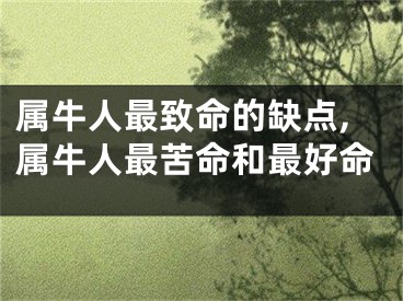 属牛人最致命的缺点,属牛人最苦命和最好命