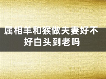 属相羊和猴做夫妻好不好白头到老吗