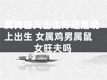 属狗白天出生好还是晚上出生 女属鸡男属鼠女旺夫吗