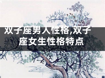 双子座男人性格,双子座女生性格特点