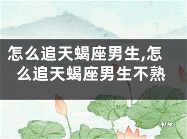 怎么追天蝎座男生,怎么追天蝎座男生不熟