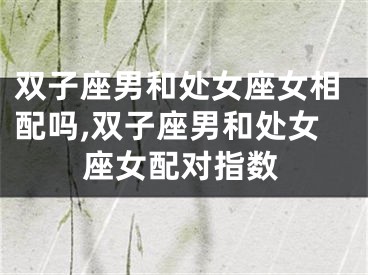 双子座男和处女座女相配吗,双子座男和处女座女配对指数