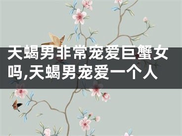 天蝎男非常宠爱巨蟹女吗,天蝎男宠爱一个人