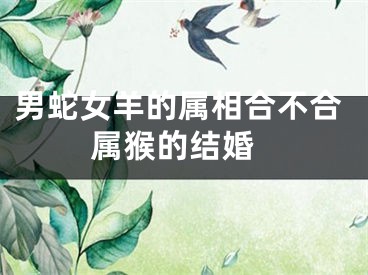 男蛇女羊的属相合不合 属猴的结婚
