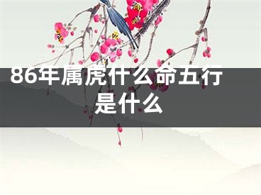 86年属虎什么命五行是什么