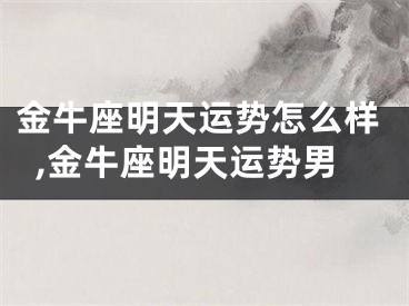 金牛座明天运势怎么样,金牛座明天运势男