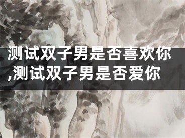 测试双子男是否喜欢你,测试双子男是否爱你