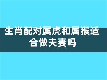 生肖配对属虎和属猴适合做夫妻吗