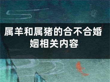 属羊和属猪的合不合婚姻相关内容