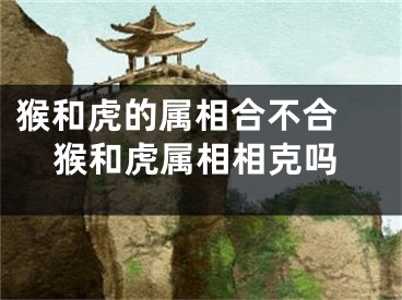 猴和虎的属相合不合 猴和虎属相相克吗