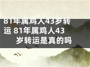81年属鸡人43岁转运 81年属鸡人43岁转运是真的吗