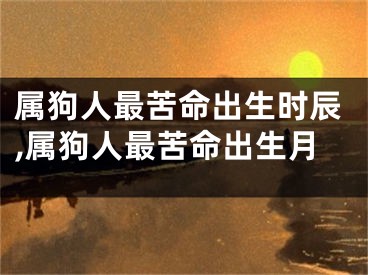 属狗人最苦命出生时辰,属狗人最苦命出生月