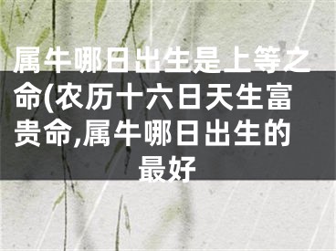 属牛哪日出生是上等之命(农历十六日天生富贵命,属牛哪日出生的最好