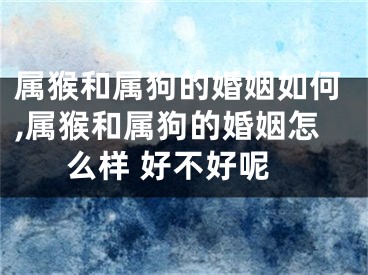 属猴和属狗的婚姻如何,属猴和属狗的婚姻怎么样 好不好呢