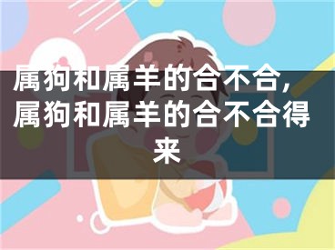 属狗和属羊的合不合,属狗和属羊的合不合得来