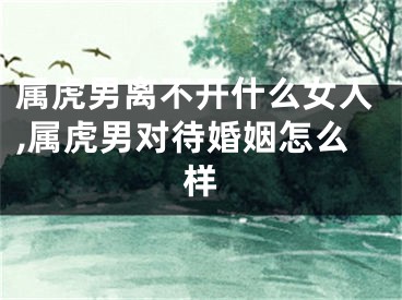 属虎男离不开什么女人,属虎男对待婚姻怎么样