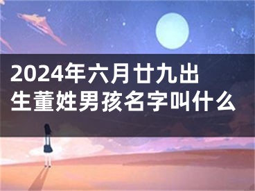 2024年六月廿九出生董姓男孩名字叫什么