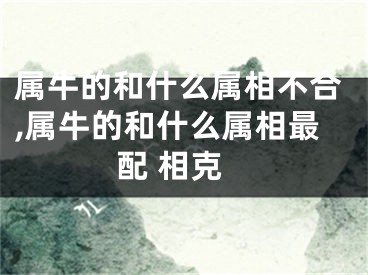 属牛的和什么属相不合,属牛的和什么属相最配 相克