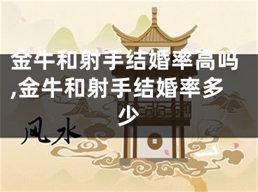 金牛和射手结婚率高吗,金牛和射手结婚率多少