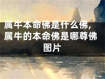 属牛本命佛是什么佛,属牛的本命佛是哪尊佛图片