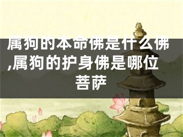属狗的本命佛是什么佛,属狗的护身佛是哪位菩萨