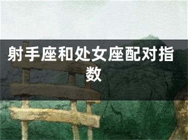 射手座和处女座配对指数