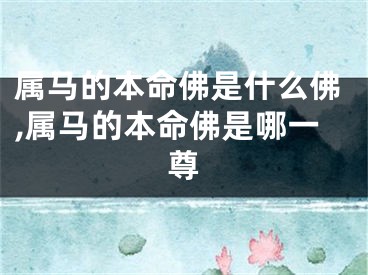 属马的本命佛是什么佛,属马的本命佛是哪一尊