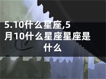 5.10什么星座,5月10什么星座星座是什么