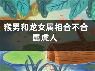 猴男和龙女属相合不合 属虎人