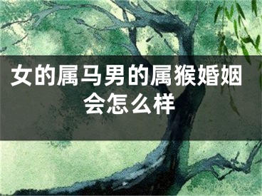 女的属马男的属猴婚姻会怎么样
