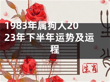 1983年属狗人2023年下半年运势及运程