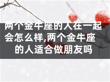 两个金牛座的人在一起会怎么样,两个金牛座的人适合做朋友吗