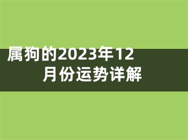 属狗的2023年12月份运势详解